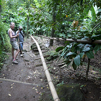 Photo de Bali - Autour de Munduk